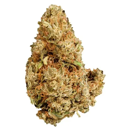 Product image of Purple Afghani - Versus - Dried Flower