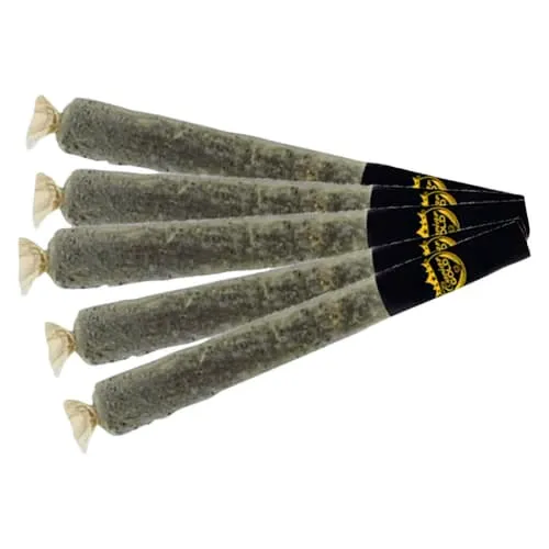 Product image of CAVIAR GOLD - BABY CAVIS APPLE DRIP Infused Pre-Roll