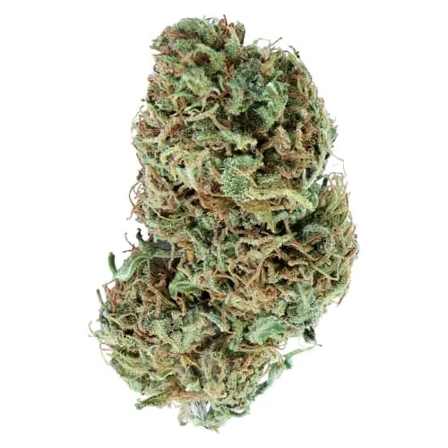 Product image of Encore - Indica Greatest Hits Vol. 1