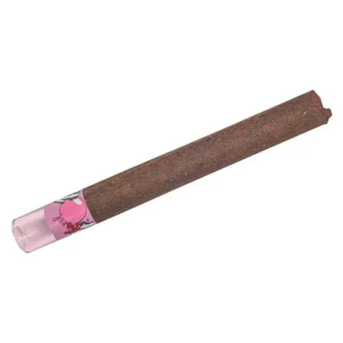 Product image of Status Raw - Acapulco Gold Cannagar Pre-Roll