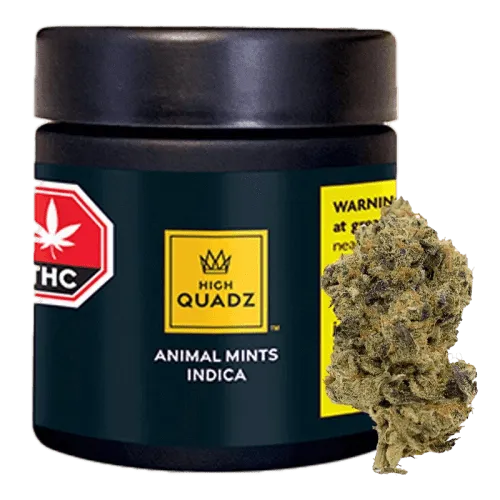 Product image of Animal Mints 3.5g Dried Flower - HIGH QUADZ
