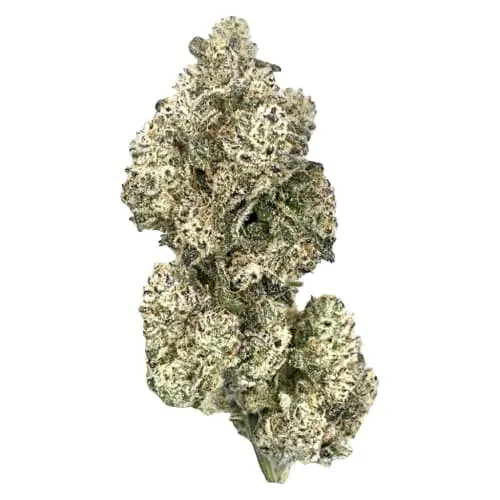Product image of Royal Dive#5: Purple Zombie - HighXotic - Dried Flower