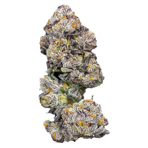 Product image of GastroPop - Castle Rock Farms - Dried Flower