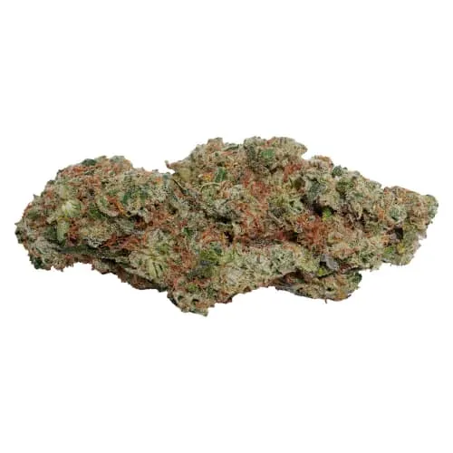 Product image of Always Toasted | OG Dutch Dragon - Sativa - 7g