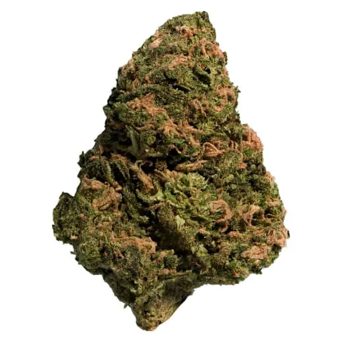 Product image of BC Organic Sun Grown Bonkers - Thrifty - Dried Flower