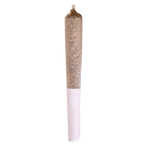 Product image of Sensi Star 1x0.5g Pre-Roll - Station House