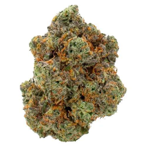 Product image of Bubblegum - Queen of the Underground - Dried Flower