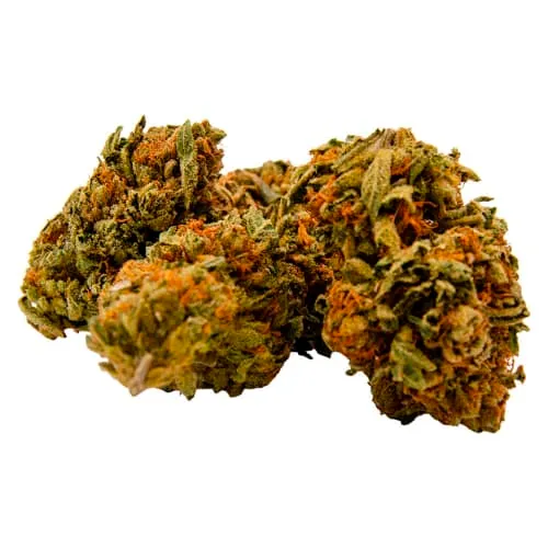 Product image of Gorilla Zkittlez 7g Dried Flower - Green Mountain