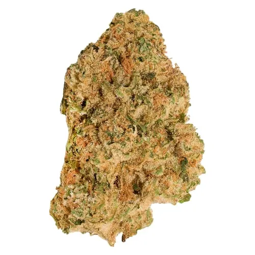 Product image of Neon Lotus - Good Supply - Dried Flower