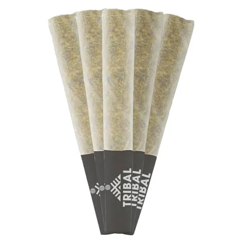 Product image of Neon Sunshine - Tribal - Joints