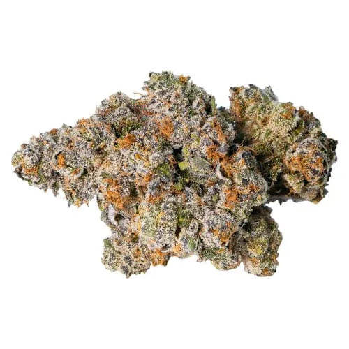 Product image of Gelato 33 - LOT420 - Dried Flower