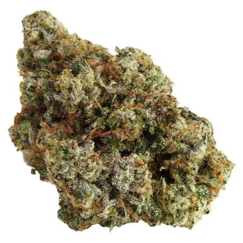 Product image of Permanent Marker - Northern Canna - Dried Flower - 3.5g