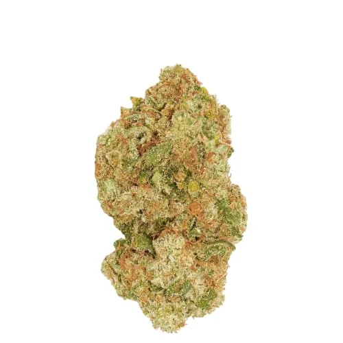 Product image of Wild Rose Reserve - Good Supply - Dried Flower