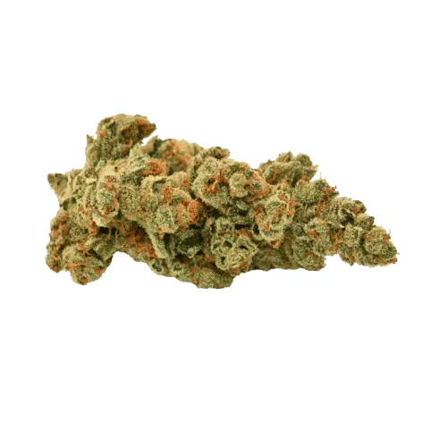 Product image of Sacré Bleu - Er'What - Dried Flower