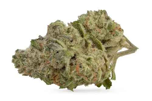 Product image of Black Cherry Pie 14g Dried Flower - THE ORIGINAL FRASER VALLEY WEED CO.
