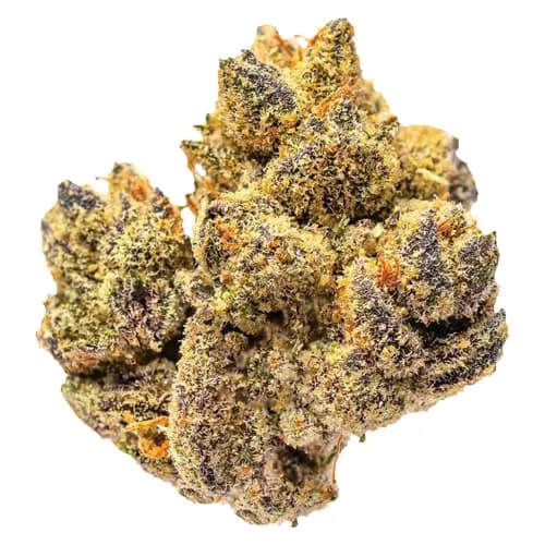 Product image of Rocky Mountain High - Potluck - Dried Flower