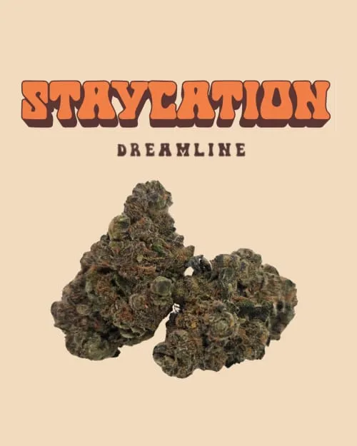 Product image of Dreamline - Staycation - Dried Flower