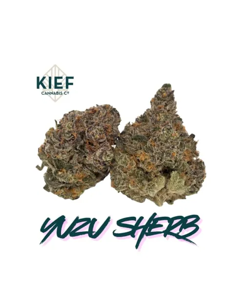 Product image of Yuzu Sherb - Kief Cannabis Co - Dried Flower