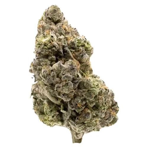 Product image of Midnight Sherb 7g Dried Flower - FIGR