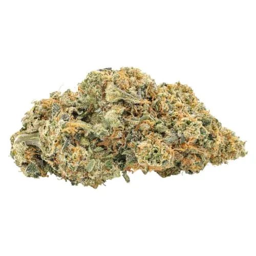 Product image of Frosted Rootbeer - Big Bag O' Buds - Dried Flower