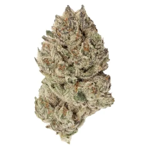 Product image of Black Diamond X - Tuck Shop - Dried Flower
