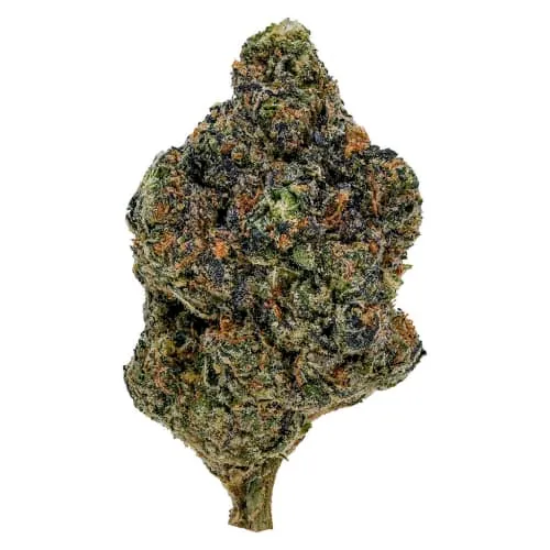 Product image of Gasolina - 1964 - Dried Flower