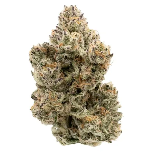 Product image of The Collective Half Q - Northern Canna - Dried Flower