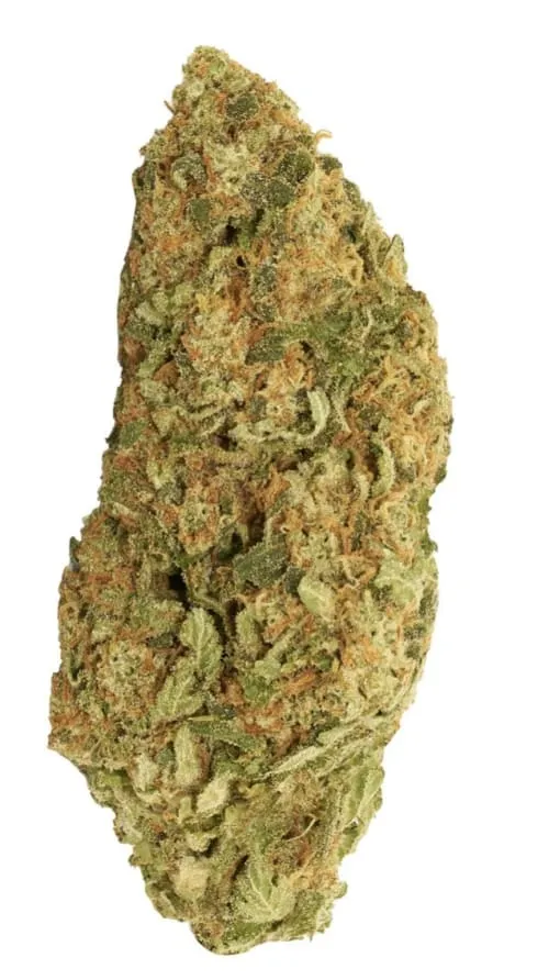 Product image of Blueberry Donuts - Good Supply - Dried Flower