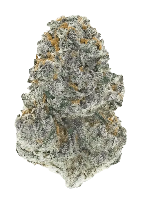 Product image of Lung Buster - Florakraft - Dried Flower