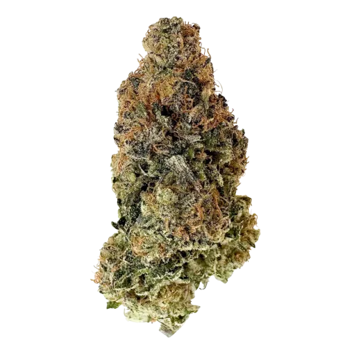 Product image of Dope Lemon - Florakraft - Dried Flower