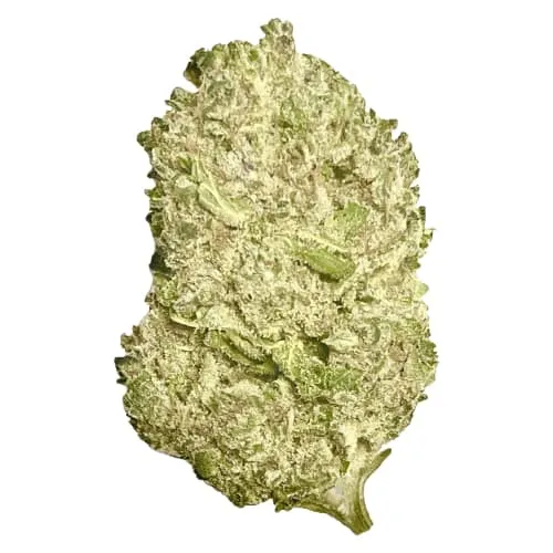 Product image of AAAA Kush - FatCat - Dried Flower